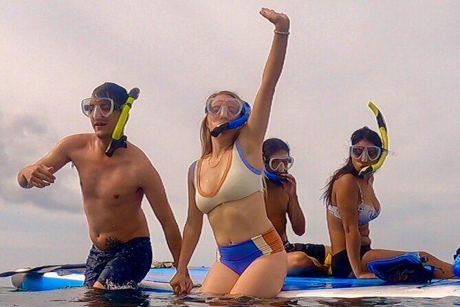 Snorkeling for Non-Swimmers Guided Tour - Wailea Beach - Who Will Love This Tour?