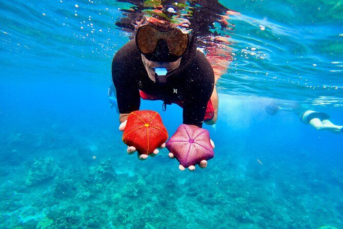 Snorkeling for Non-Swimmers Guided Tour - Wailea Beach - The Sum Up