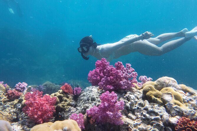 Snorkeling + Free Underwater Photos by Longtail Boat  Koh Lipe A - Key Points