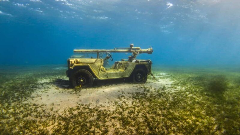 Snorkeling From Shore - An Overview of the Experience