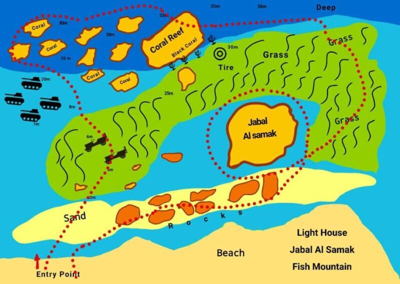 Snorkeling From Shore - What Makes South Beach Special?