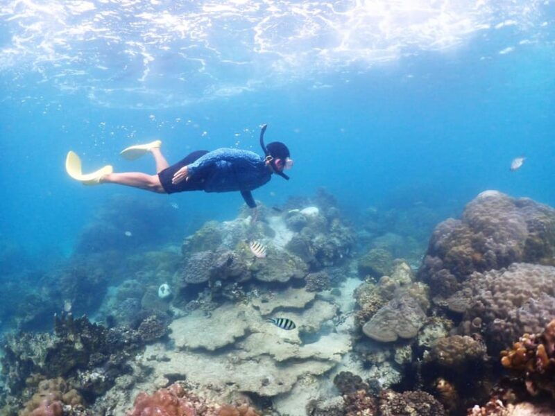 snorkeling-full-day-experience-from-bangkok