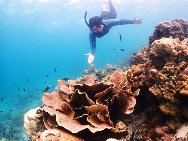 snorkeling-full-day-experience-from-bangkok
