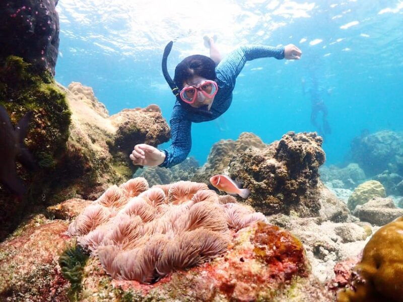 snorkeling-full-day-experience-from-bangkok