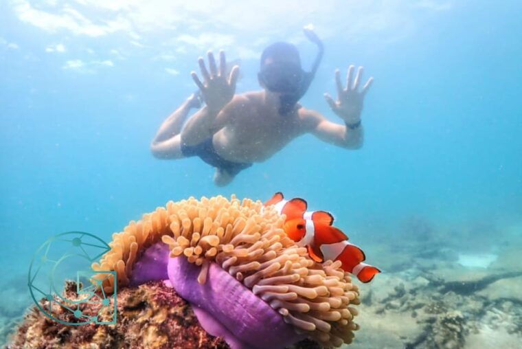 snorkeling-full-day-experience-from-bangkok