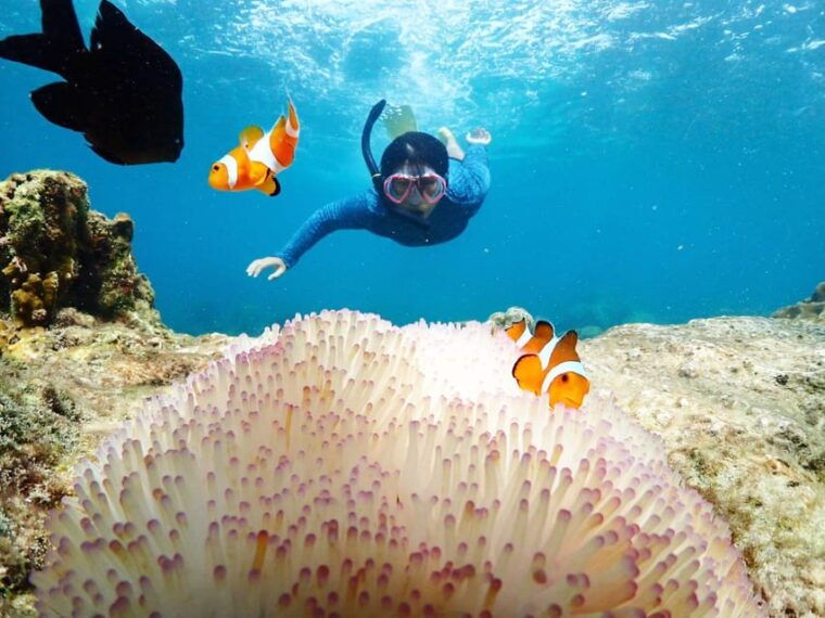snorkeling-full-day-experience-from-bangkok