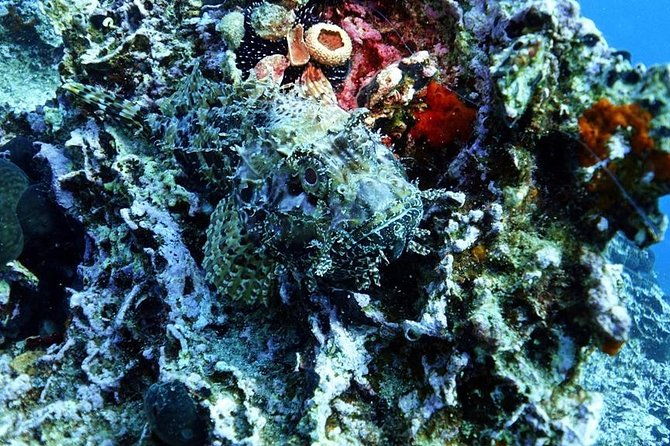 snorkeling-fun-adventure-in-athenian-riviera-2