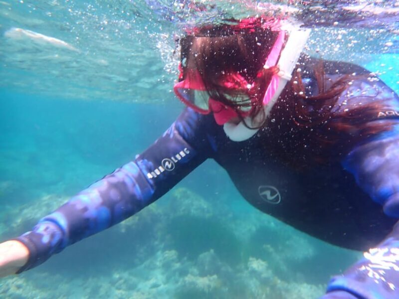 Snorkeling guided tours for tha all family! - What’s Included and What’s Not