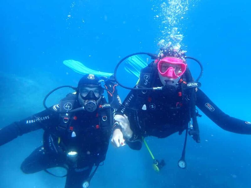 Snorkeling guided tours for tha all family! - Important Considerations