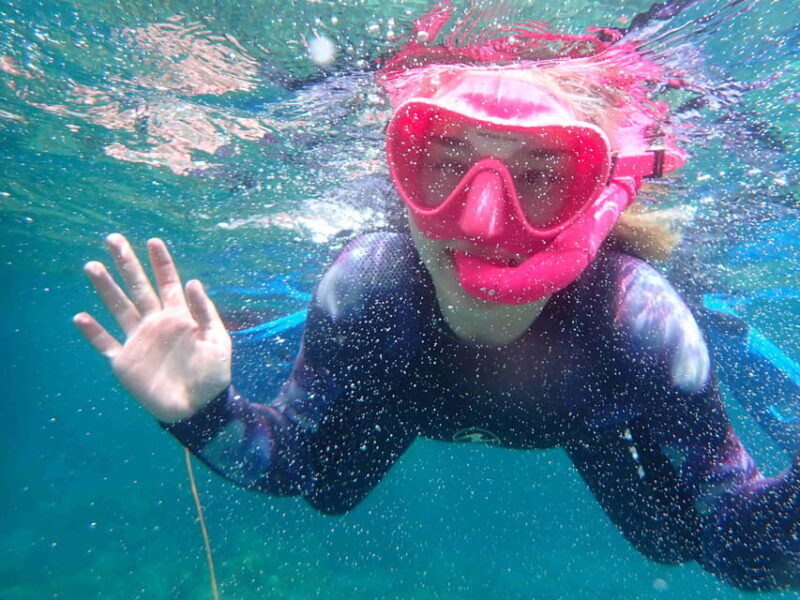 Snorkeling guided tours for tha all family! - FAQ