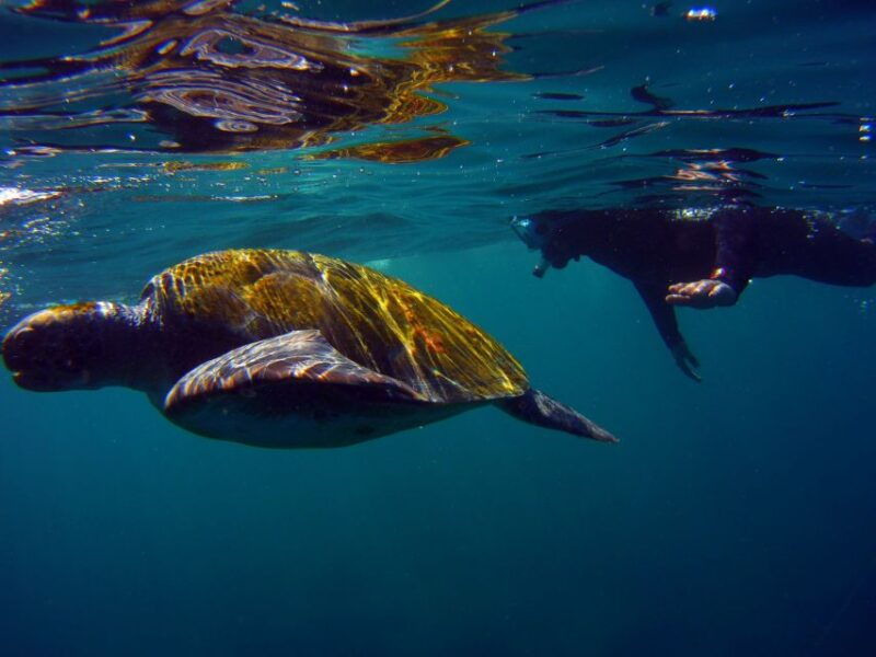 snorkeling-in-a-volcanic-bay