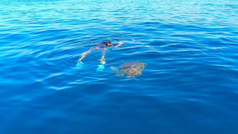 snorkeling-in-a-volcanic-bay