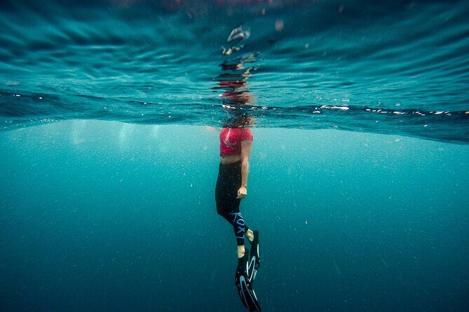 Snorkeling in Amed and Tulamben - Key Points