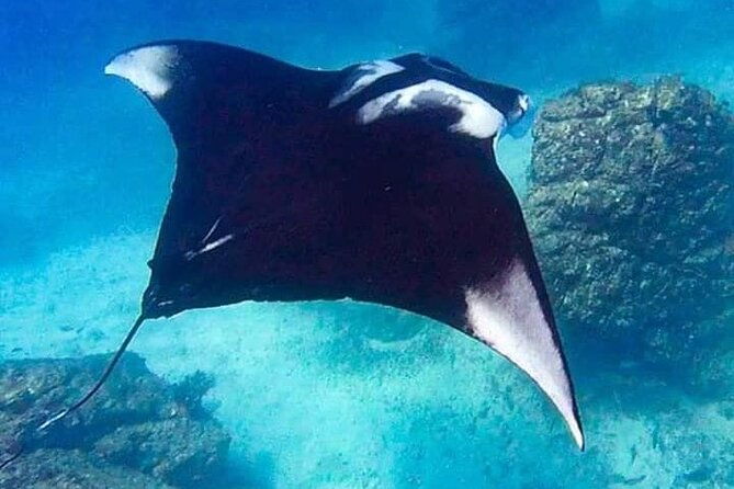 snorkeling-in-cano-island-from-uvita