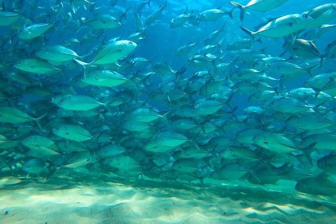 snorkeling-in-cano-island-from-uvita