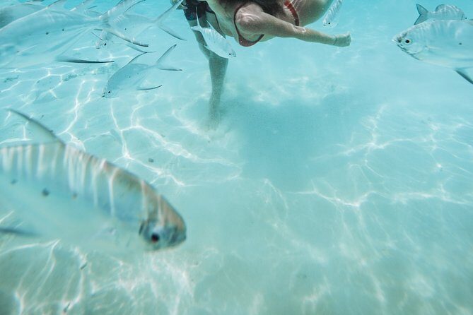 Snorkeling in Dhiffushi - Final Thoughts