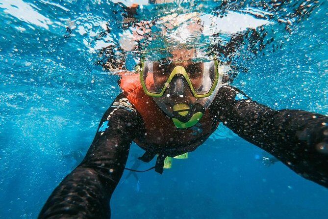 Snorkeling in Gran Canaria with Hotel Pick-up - What the Tour Includes