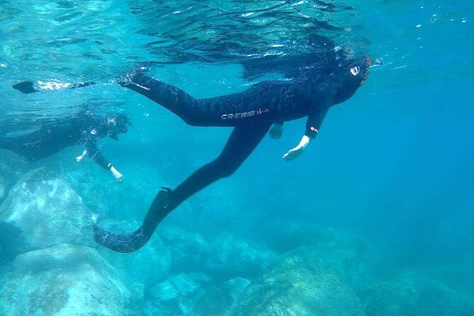 Snorkeling in Gran Canaria with Hotel Pick-up - What to Expect During the Snorkel