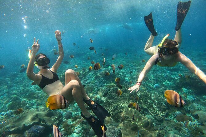 Snorkeling In Nusa Penida Island With Manta Ray From Bali - An In-Depth Look at the Snorkeling Tour Experience