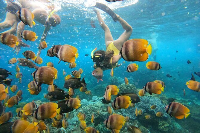 Snorkeling In Nusa Penida Island With Manta Ray From Bali - FAQs