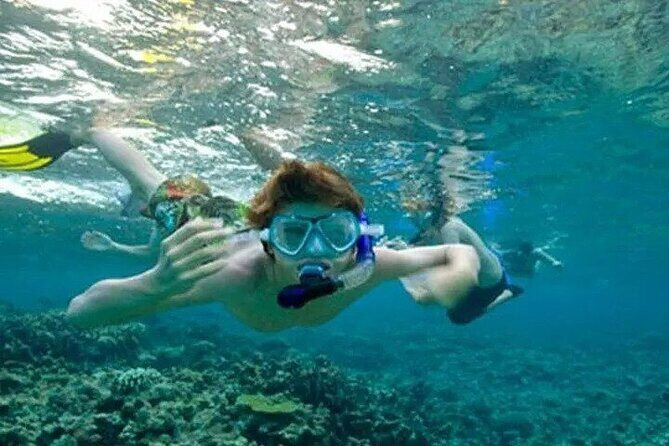 Snorkeling in Port City - What to Expect from the Snorkeling in Port City Tour