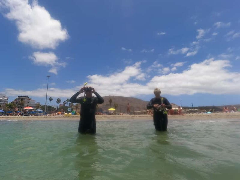 Snorkeling in tenerife south: Discover the underwater world - The Experience in Detail