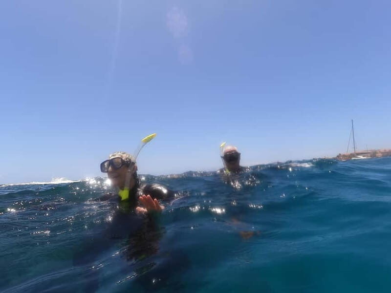 Snorkeling in tenerife south: Discover the underwater world - Who Should Book This Experience?