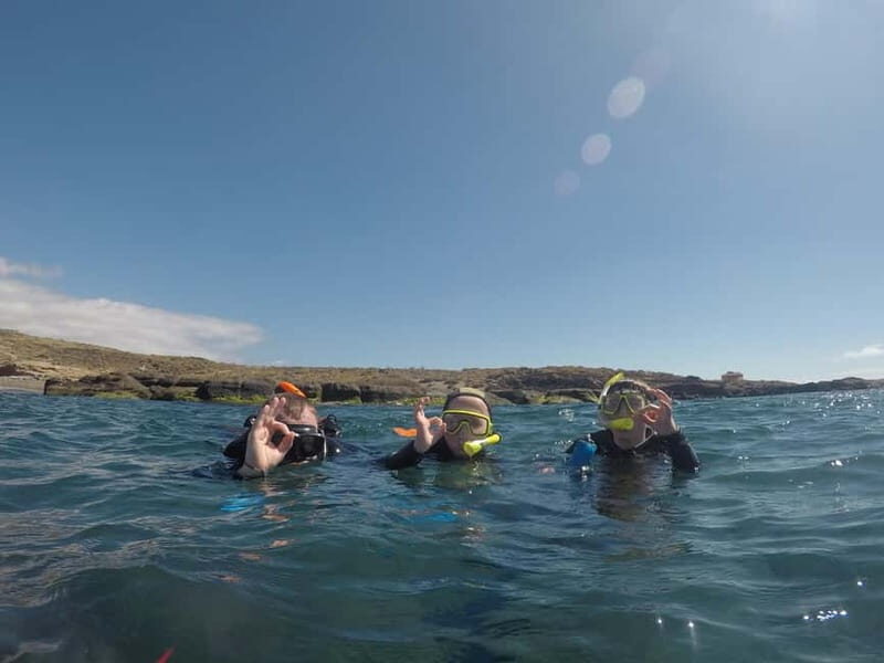 Snorkeling in tenerife south: Discover the underwater world - Final Thoughts