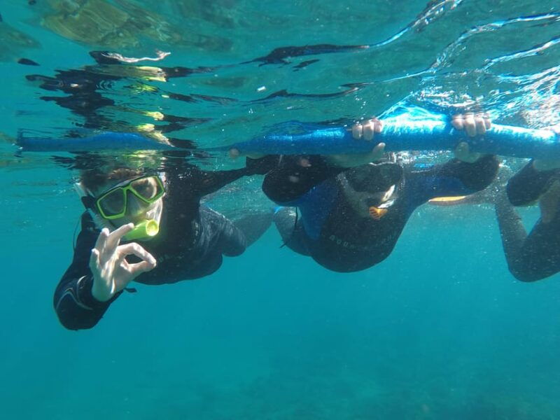 snorkeling-in-tenerife-south-discover-the-underwater-world