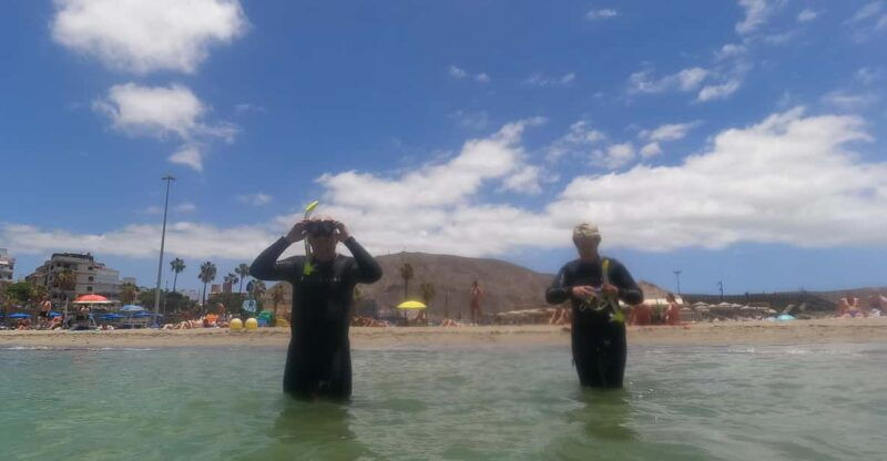 snorkeling-in-tenerife-south-discover-the-underwater-world