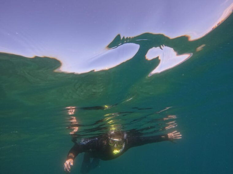 snorkeling-in-tenerife-south-discover-the-underwater-world