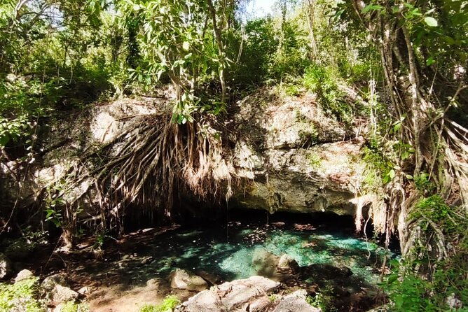 snorkeling-in-the-cenotes-of-bayahibe