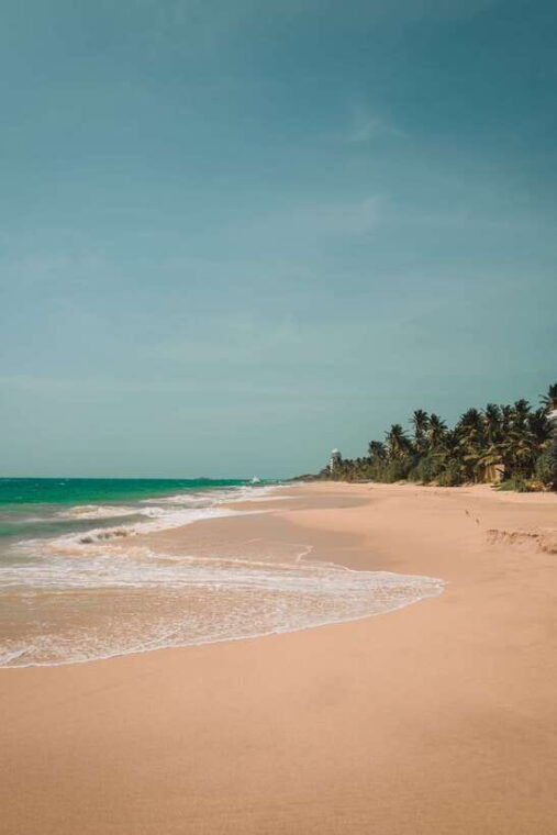 snorkeling-in-unawatuna