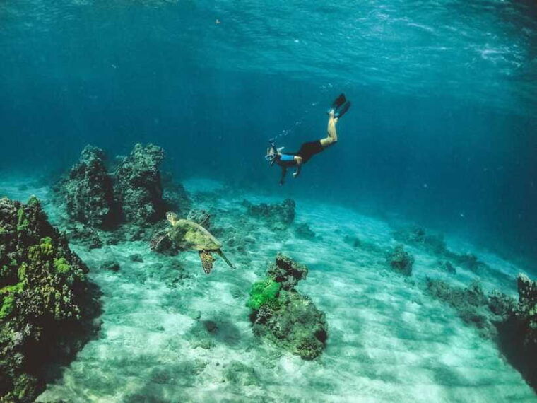 snorkeling-in-unawatuna