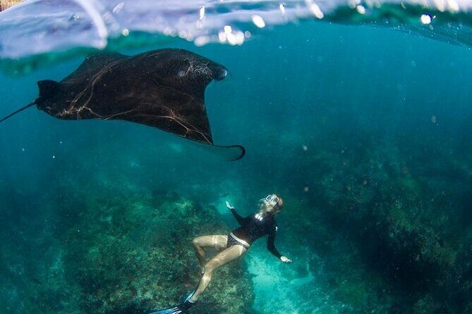 Snorkeling Manta Ray in Nusa Lembongan - Authentic Experiences from Reviewers