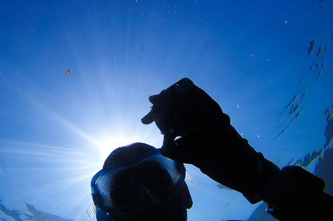 snorkeling-marine-park-discovery