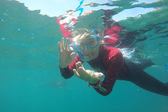 snorkeling-marine-park-discovery