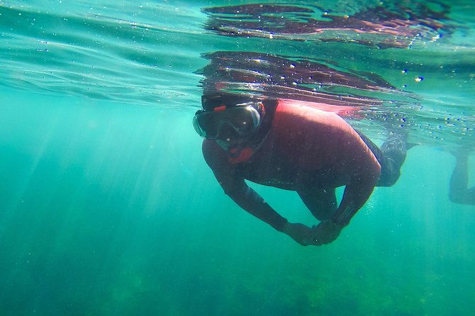 snorkeling-marine-park-discovery