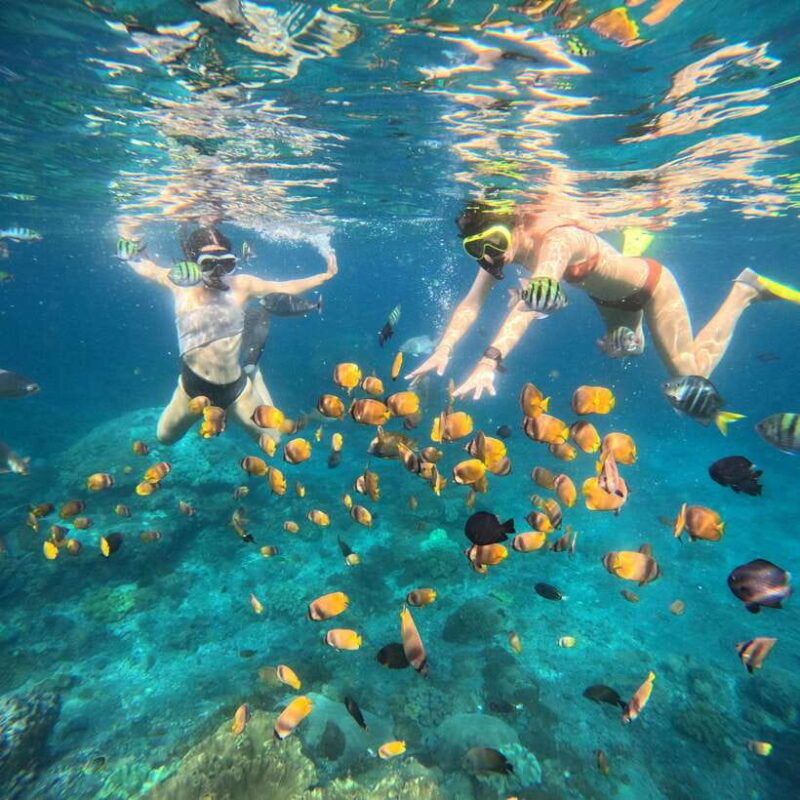 snorkeling-nusa-penida-four-spots