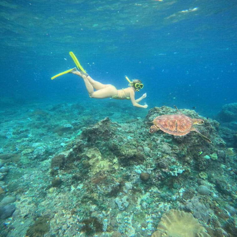 snorkeling-nusa-penida-four-spots