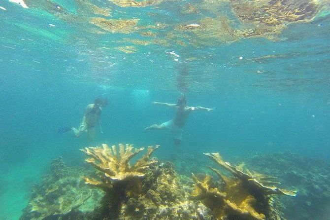 snorkeling-on-the-caribbean-side-of-panama