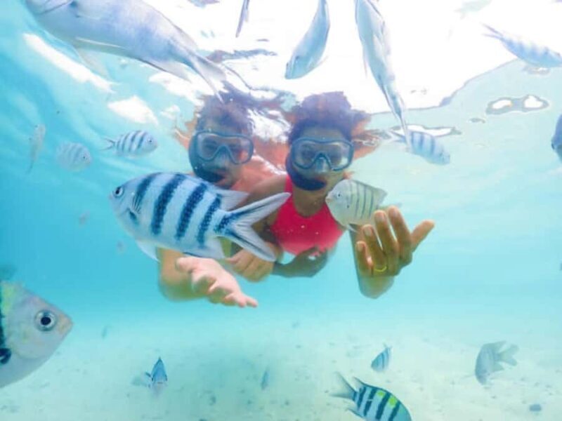 Snorkeling or Jet Ski Experience at Nusa Dua Bali - Authentic Insights from Reviewers