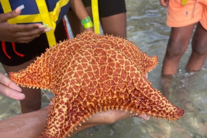 snorkeling-private-tour-in-montego-bay