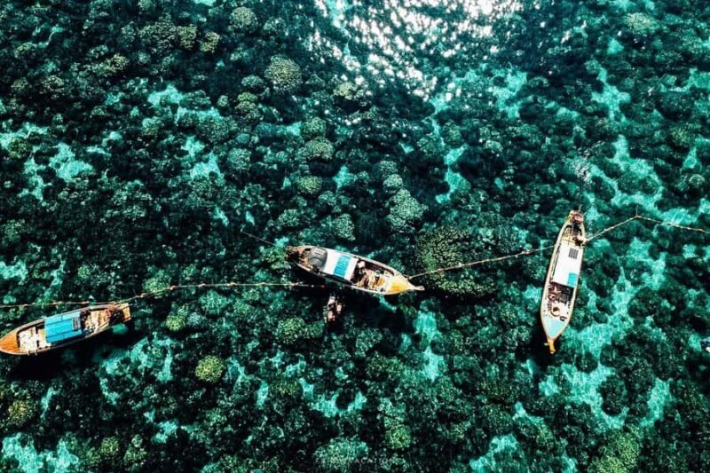 Snorkeling program 1 private boat lunch included - Why This Tour Offers Great Value