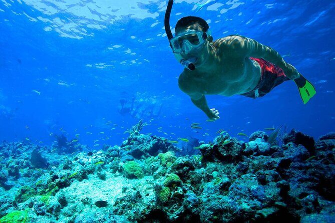Snorkeling: Ras Mohamed & White Island With Lunch And Drinks - Key Points