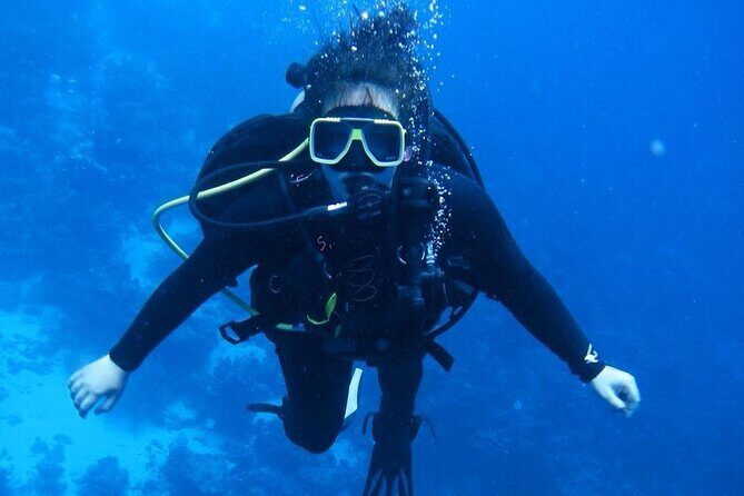 Snorkeling: Ras Mohamed & White Island With Lunch And Drinks - An In-Depth Look at the Tour