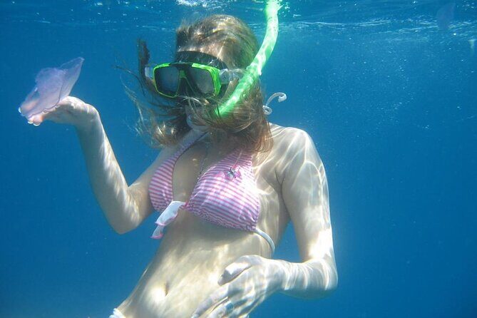 Snorkeling: Ras Mohamed & White Island With Lunch And Drinks - Who Would Love This Tour?