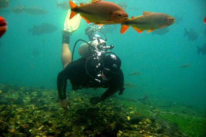 snorkeling-rio-da-prata-tour