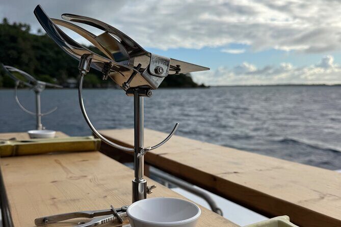Snorkeling Shark Ray and Discovery DE the Black Pearl in Bora Bora - An In-Depth Look at the Bora Bora Snorkeling Tour