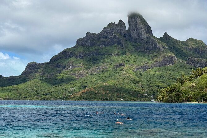Snorkeling Shark Ray and Discovery DE the Black Pearl in Bora Bora - Who Will Enjoy This Tour?